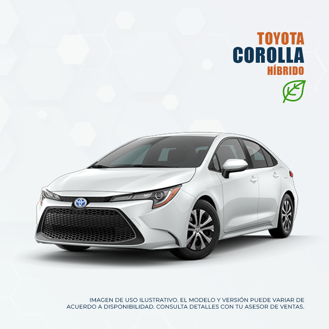 Renta de autos en Monterrey / Toyota Corolla Híbrido en Monterrey